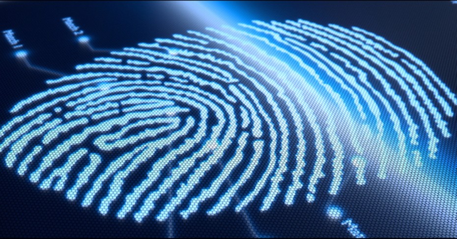 Fingerprint-screen