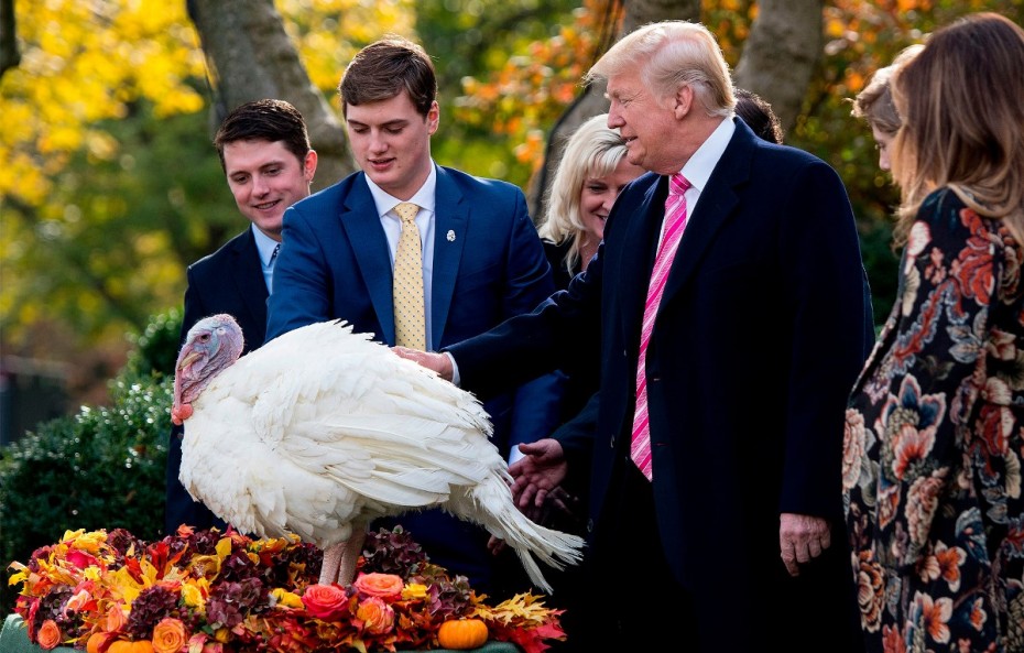 trump-turkey-thanksgiving