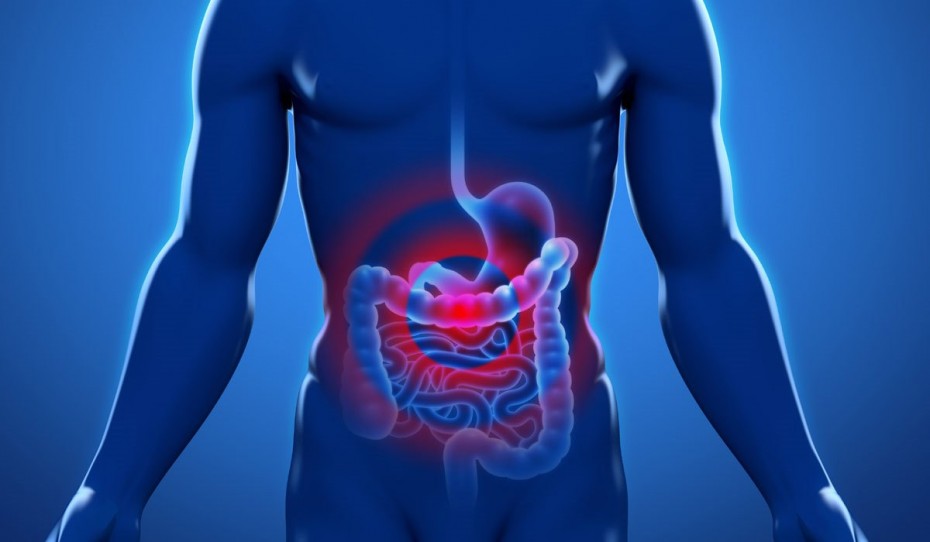 Αύξηση των ασθενών με νόσο του Crohn αναμένεται τα επόμενα χρόνια
