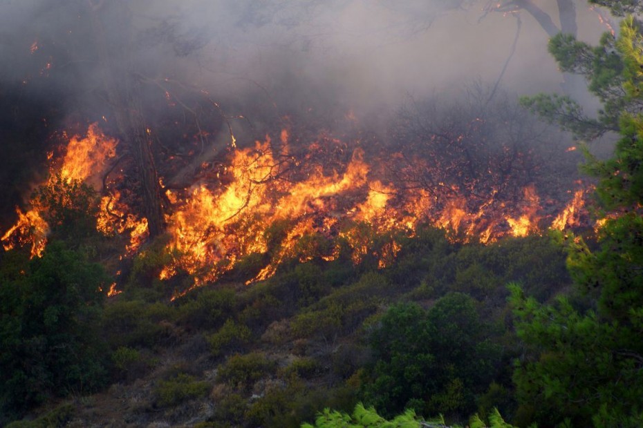 Φωτιές από πτώσεις κεραυνών σε Σιθωνία και Κασσάνδρα