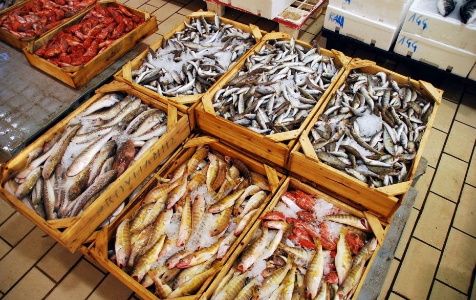 Πειραιάς: Κατάσχεση ακατάλληλων αλιευμάτων