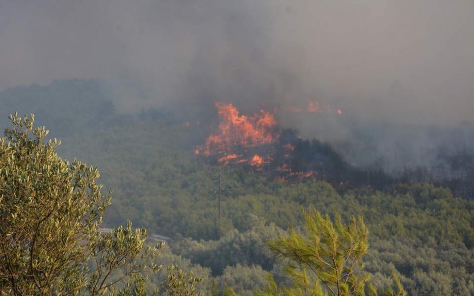 Άγιο Όρος: Νέα πυρκαγιά κοντά στη μονή  Χιλανδαρίου