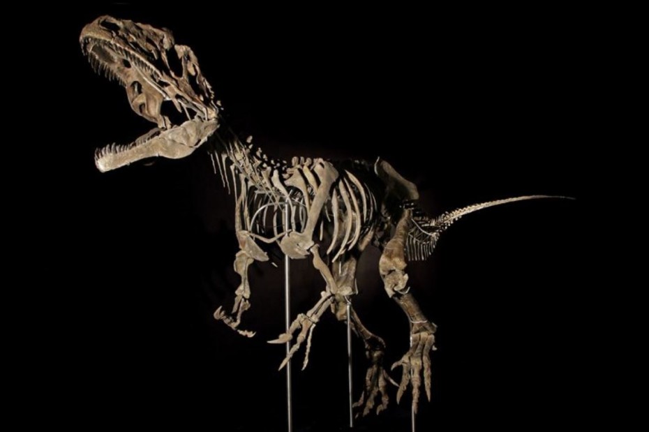 Πάνω από 2 εκατ. δολάρια πωλήθηκε σκελετός δεινόσαυρου!