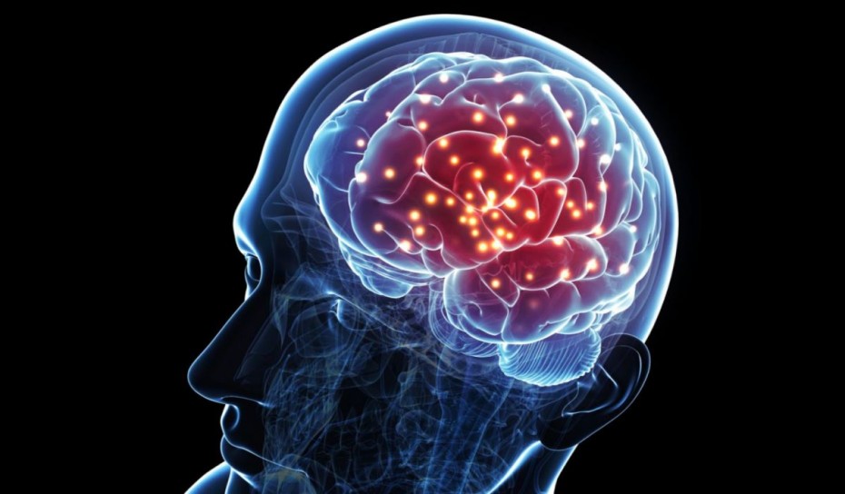 Εντόπισαν νέα περιοχή στον εγκέφαλο που επηρεάζει την όρεξη και το σωματικό βάρος