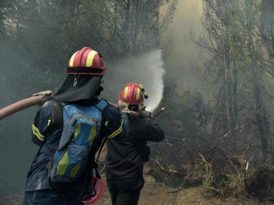 Μάχη με την πύρινη λαίλαπα στην Κινέτα - Καίγονται σπίτια