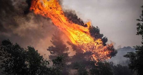 Μεγάλα προβλήματα από ισχυρή πυρκαγιά στη Σητεία Κρήτης