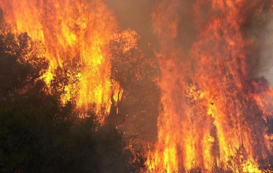 Συνεχίζεται η μάχη με τις φλόγες στην Αμαλιάδα
