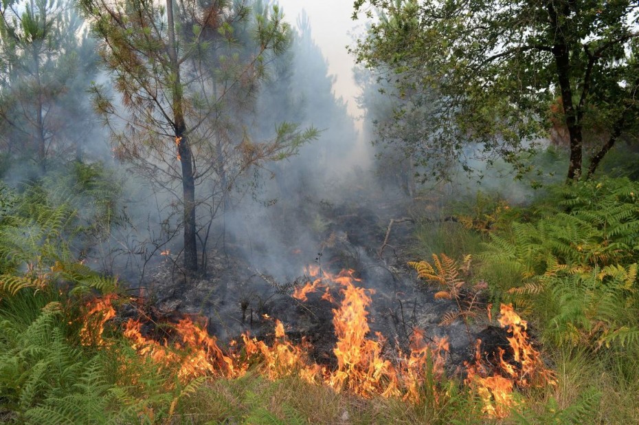 Βελτιώνεται η εικόνα της πυρκαγιάς στην Εύβοια