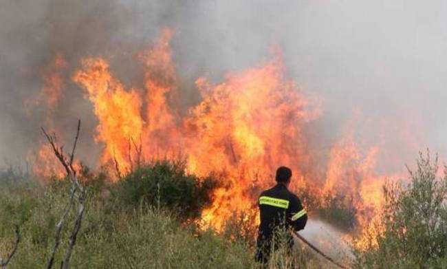 Υπό έλεγχο η πυρκαγιά στη Βραυρώνα Αττικής