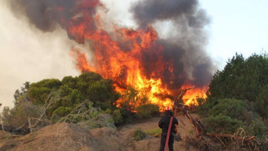 Αμαλιάδα: Σε ύφεση η φωτιά στη Δαφνιώτισσα, υπό έλεγχο στην Ανάληψη