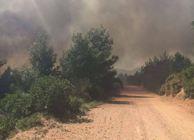 Υψηλότατος κίνδυνος πυρκαγιάς σε πολλές περιοχές για την Τρίτη