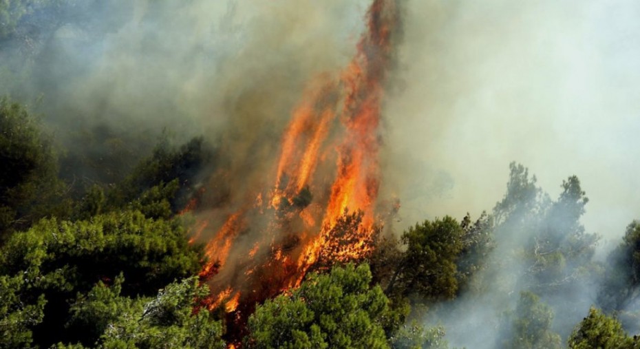 Υπό μερικό έλεγχο η πυρκαγιά στο Λιμνοχώρι Αχαΐας