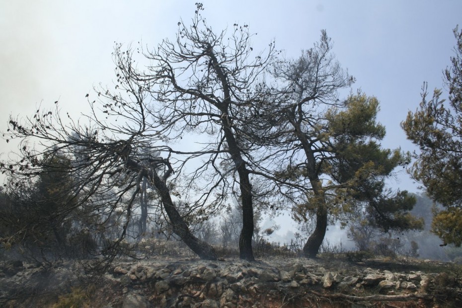 Στο Βόρειο Αιγαίο υψηλότερος ο κίνδυνος πυρκαγιάς την Τετάρτη