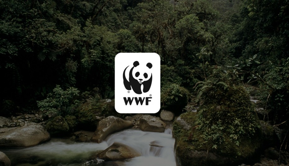 WWF: Αυτή είναι η τελευταία γενιά που μπορεί να σώσει τον πλανήτη