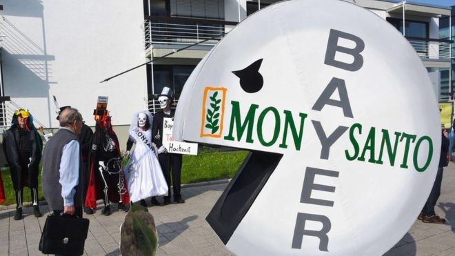 Η Bayer «πληρώνει» την εξαγορά της Monsanto το α' τρίμηνο