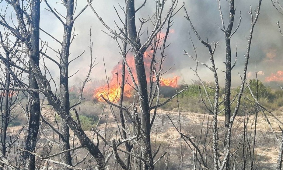 Συναγερμός στο Λαγονήσι - Ξέσπασε φωτιά, εκκενώθηκαν σπίτια