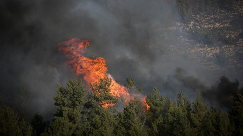 Μεγάλη δασική πυρκαγιά στο Δραγουντέλι της Χαλκιδικής