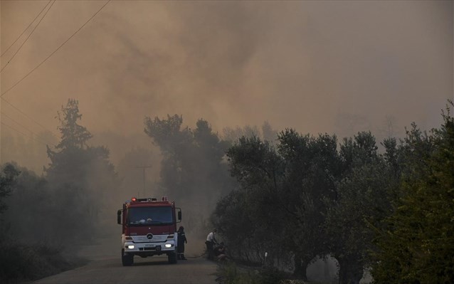 Περιορίστηκε μεγάλη πυρκαγιά που ξέσπασε στην Κάρυστο