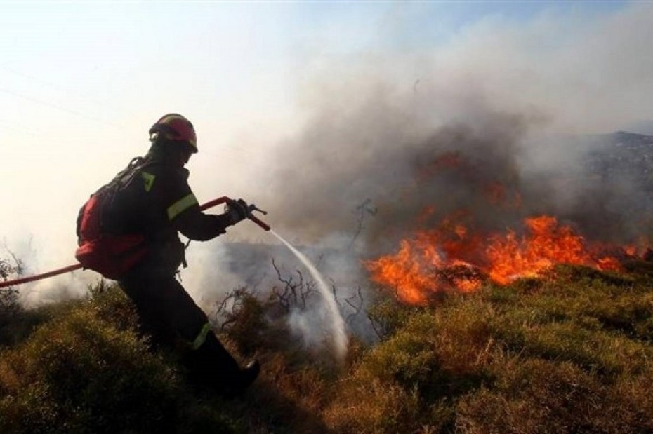 Υπό έλεγχο η πυρκαγιά στην Πιερία - Ξαναξεκινούν τα δρομολόγια του ΟΣΕ