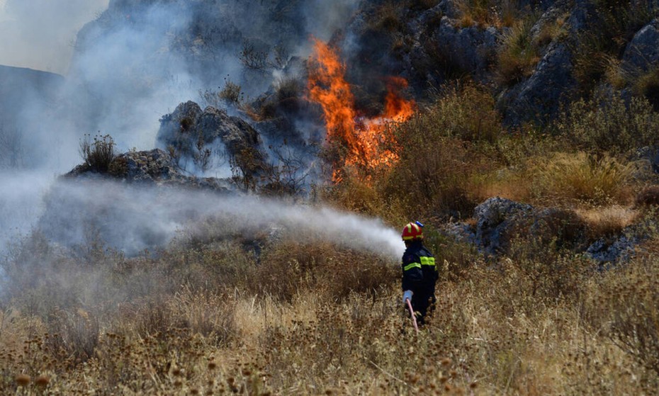 Φωτιά σε δάσος στο Μαρτίνο Φθιώτιδας
