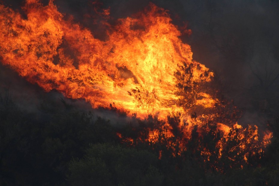 Σε ύφεση η πυρκαγιά στον Κιθαιρώνα