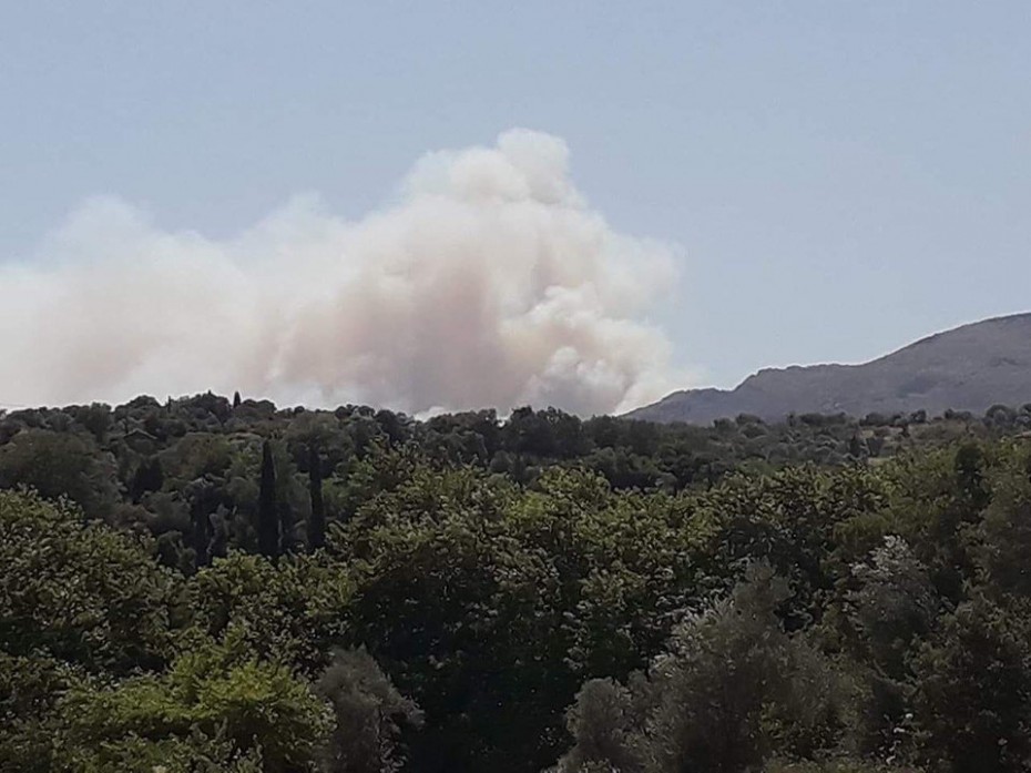 Ανεξέλεγκτη η πυρκαγιά στην Εύβοια - Στο σημείο πάνω από 100 πυροσβέστες 