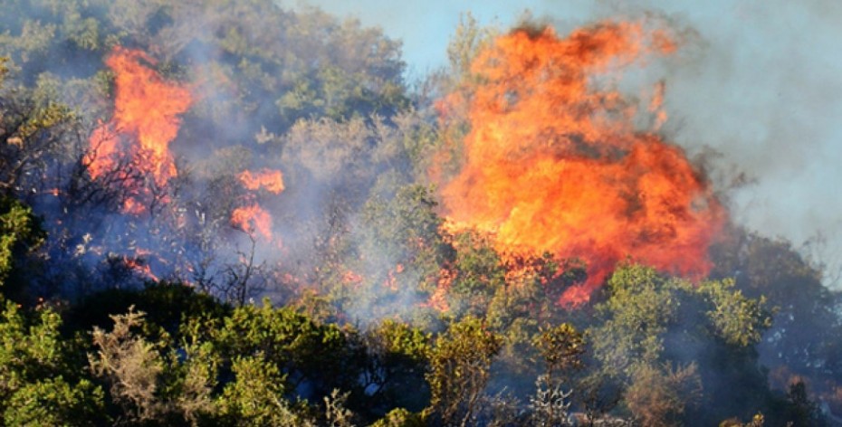 «Καίγεται» δασική έκταση στη Μάνδρα