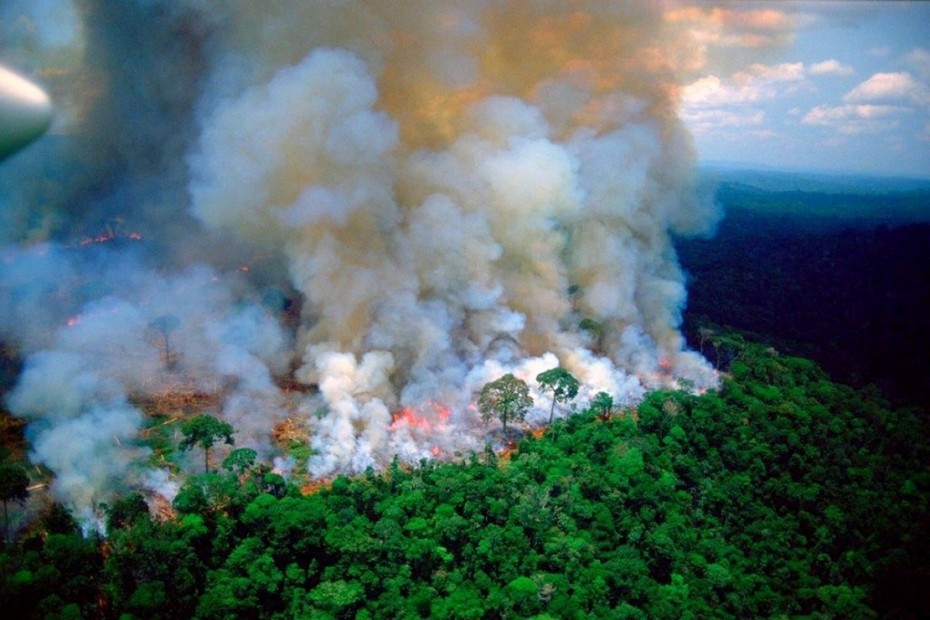 Παγκόσμιος συναγερμός για τον φλεγόμενο Αμαζόνιο