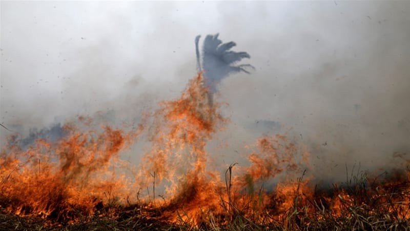 Μήνυμα του Πάπα για τις πυρκαγιές στον Αμαζόνιο