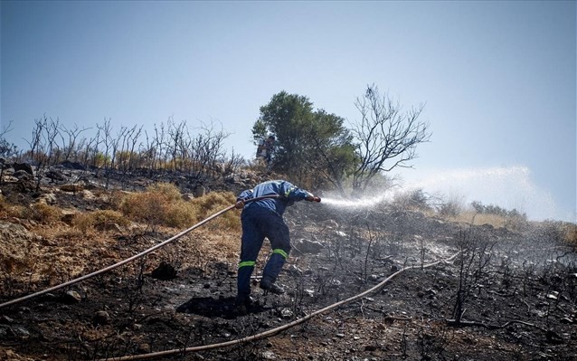 Περιορίστηκε πυρκαγιά στην Τιθορέα - Αναφορές για εμπρησμούς