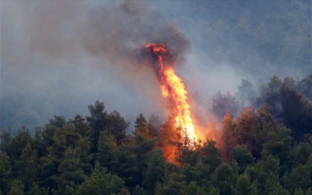 Ανεξέλεγκτη πυρκαγιά στην Εύβοια - Εκκένωση χωριού ζητά η Πυροσβεστική