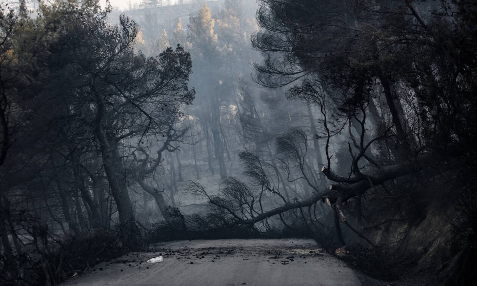 Πυρκαγιά στην Εύβοια: Εξετάζεται το ενδεχόμενο εμπρησμού