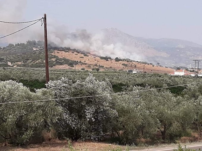 Πυρκαγιά σε εξέλιξη στο Κουτσοπόδι, λίγο έξω από το Άργος 