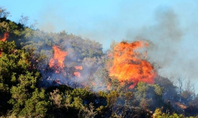 Νέες πυρκαγιές σε Κεφαλονιά και Έβρο