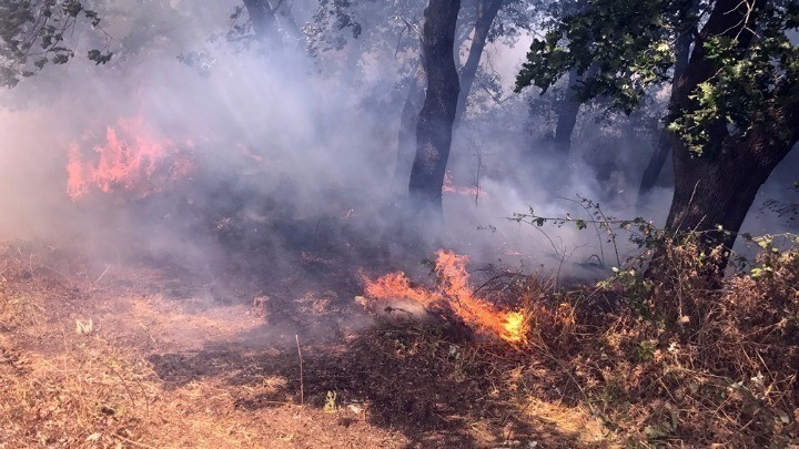 Πυρκαγιά στη νότια Κέρκυρα