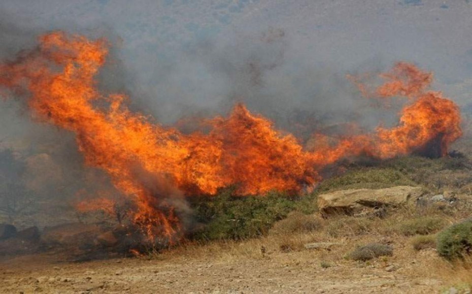 Πυρκαγιά σε δασική έκταση στις Σπέτσες