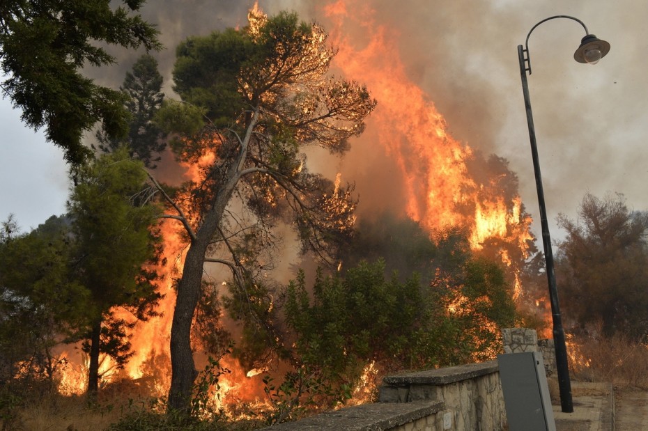 Σε 138 οι σημαντικές πυρκαγιές στην Ελλάδα για το 2019