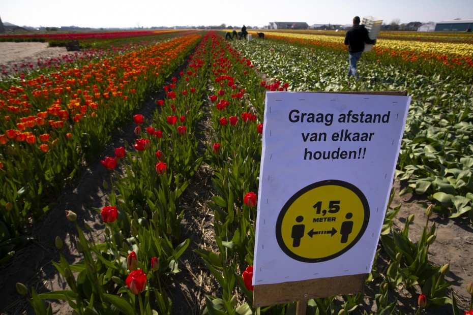 Ολλανδία: Πάνω από 1.000 νέα κρούσματα κοροναϊού σε 1 μέρα