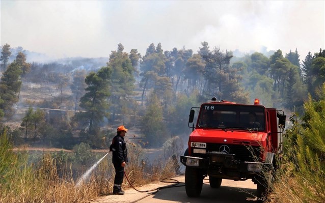 Πυρκαγιά σε αγροτική έκταση στο Λιβάδι της Νάξου