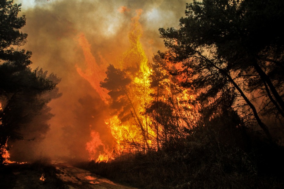 Στις φλόγες η Καλιφόρνια - Στάχτη 40.000 στρέμματα, εκκενώνονται σπίτια