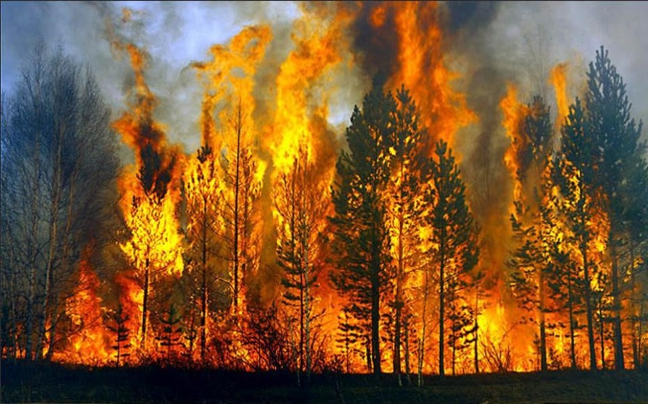 Πυρκαγιές: Νέες εστίες σε Ηλεία και Λακωνία