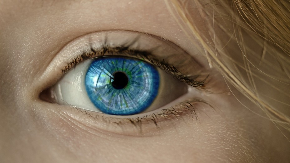 Βιονικό μάτι που θεραπεύει την τύφλωση ερευνούν οι επιστήμονες
