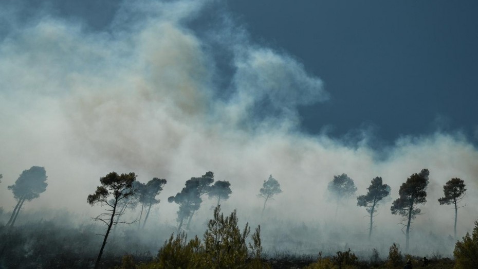 Κάηκαν σπίτια από την πυρκαγιά στα Καλύβια Αττικής - Συναγερμός στην Πυροσβεστική