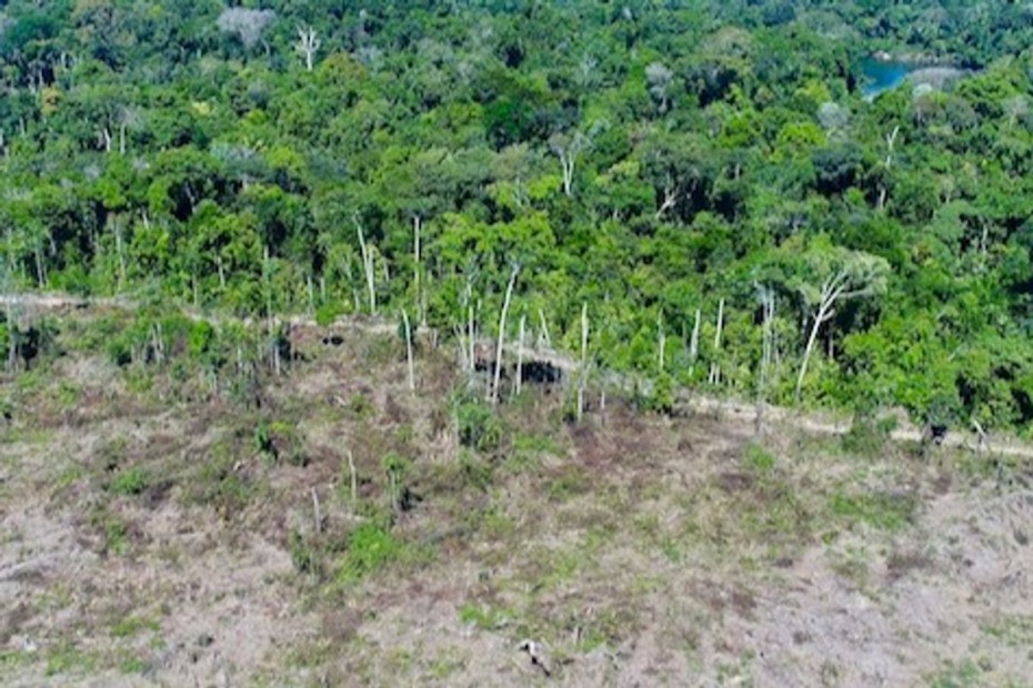 Κλιματική Αλλαγή: Περισσότερο διοξείδιο άνθρακα απ΄όσο απορροφά εκπέμπει την τελευταία 10ετία η Αμαζονία της Βραζιλίας 