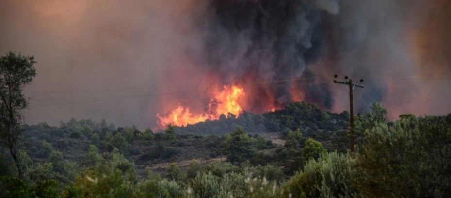 Πυρκαγιά σε δασική έκταση στο Αγνάντιο Βοιωτίας