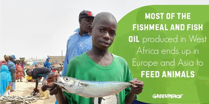 Greenpeace: Η παραγωγή ιχθυελαίου για ΕΕ και Ασία στερεί βασική πηγή τροφίμων της Αφρικής