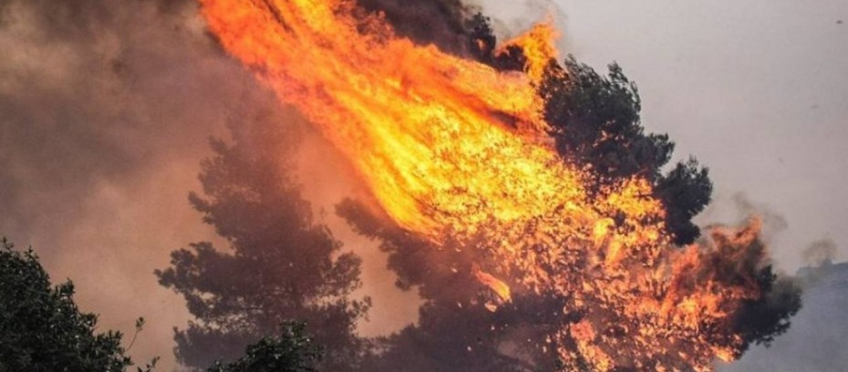 Φωτιά στην Αχαΐα: Μάχη των πυροσβεστών «κόντρα» στους δυνατούς ανέμους