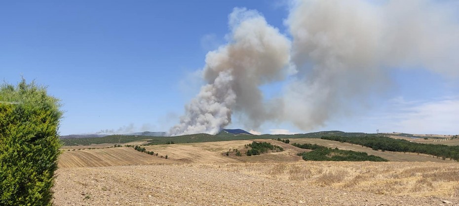 Λάρισα: Σε εξέλιξη μεγάλη πυρκαγιά στην περιοχή του Κιλελέρ
