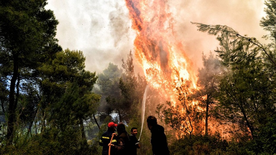 Υπό πλήρη έλεγχο η μεγάλη πυρκαγιά στην Συκάμινο Ωρωπού