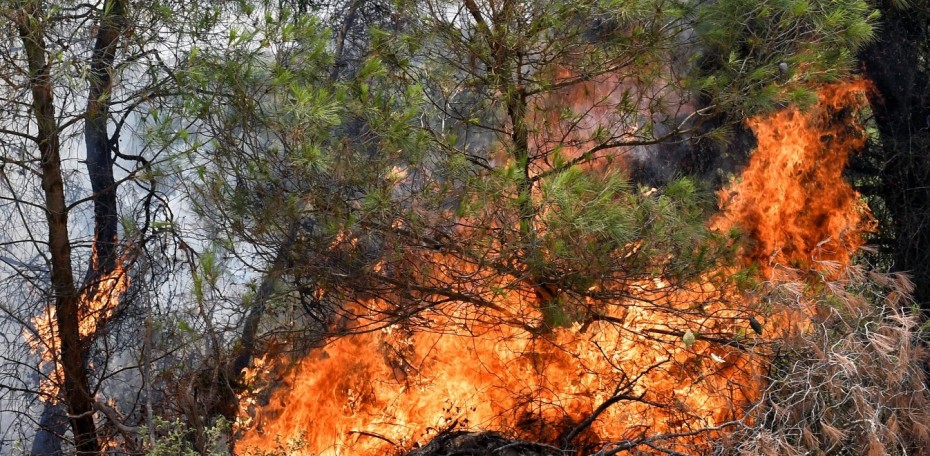 Φωτιά στην Αχαΐα: Κάηκαν σπίτια στη Ζήρια - Στο Λαμπίρι οι φλόγες